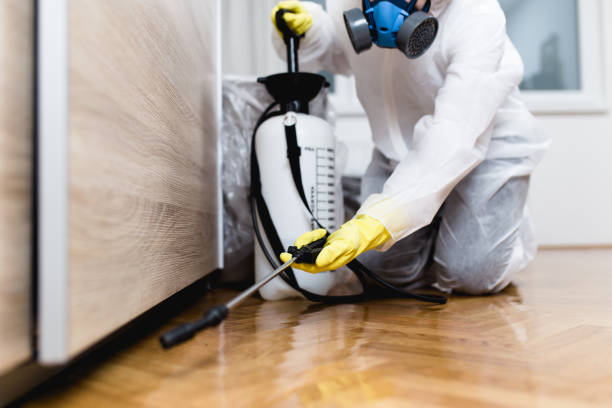 Best Affordable Pest Control Services  in High Bridge, WA