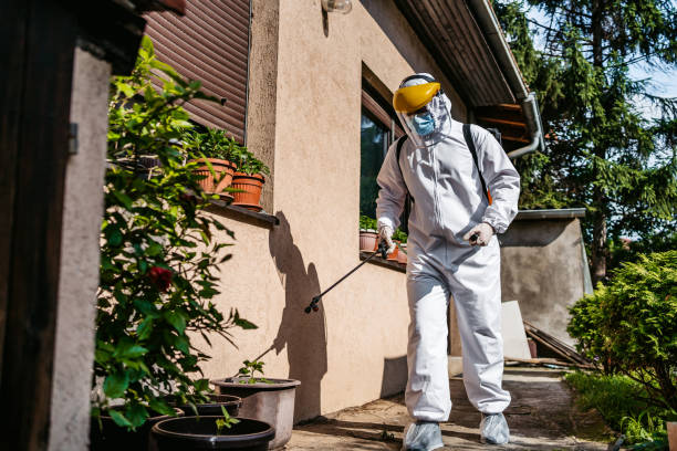 Best Bed Bug Extermination  in High Bridge, WA