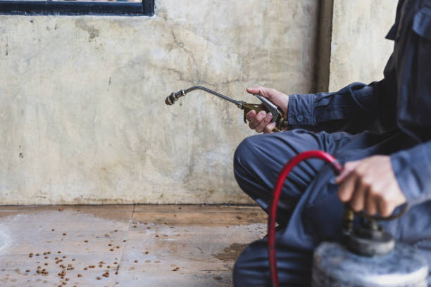 Best Exterminator Services  in High Bridge, WA